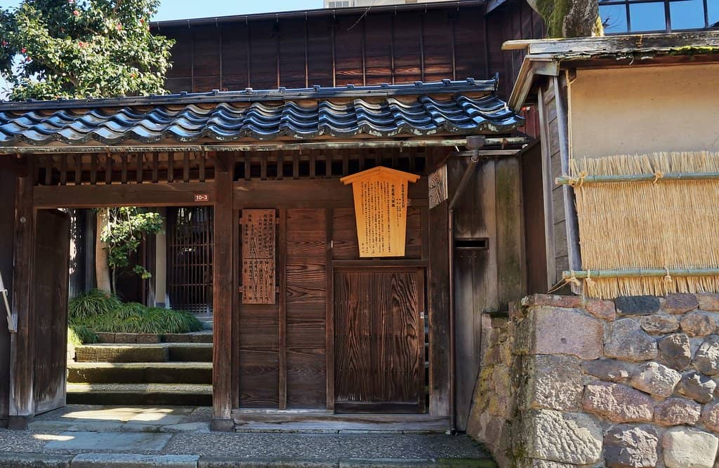 Peaceful Moss Garden