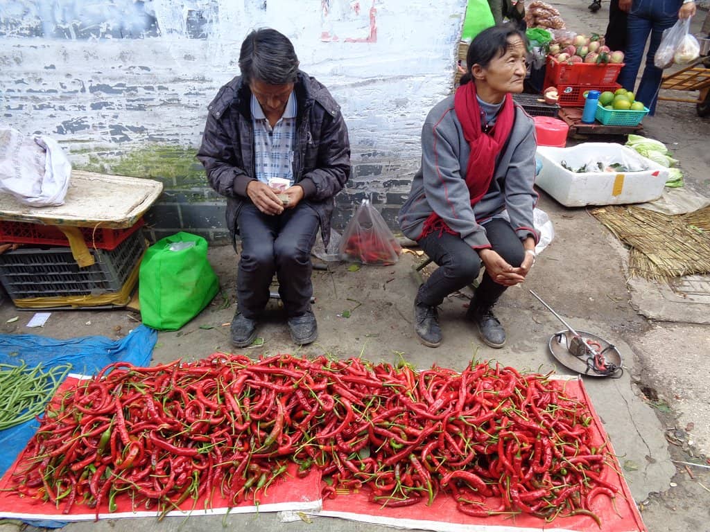 Street Food Paradise