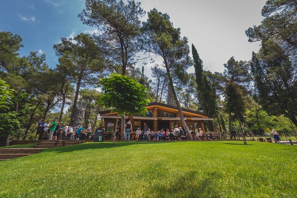Welcome to the new adventure park on Gorica Hill, Podgorica.
Trails, climbing rock, and platforms for sports and adrenaline activities await you, with maximum safety and security to all European standards.
There is also a mini restaurant, which is the perfect place to create the most beautiful memories and for the occasion of all your celebrations.
Superior service, a rich menu and a quality wine collection complete our rich offer.