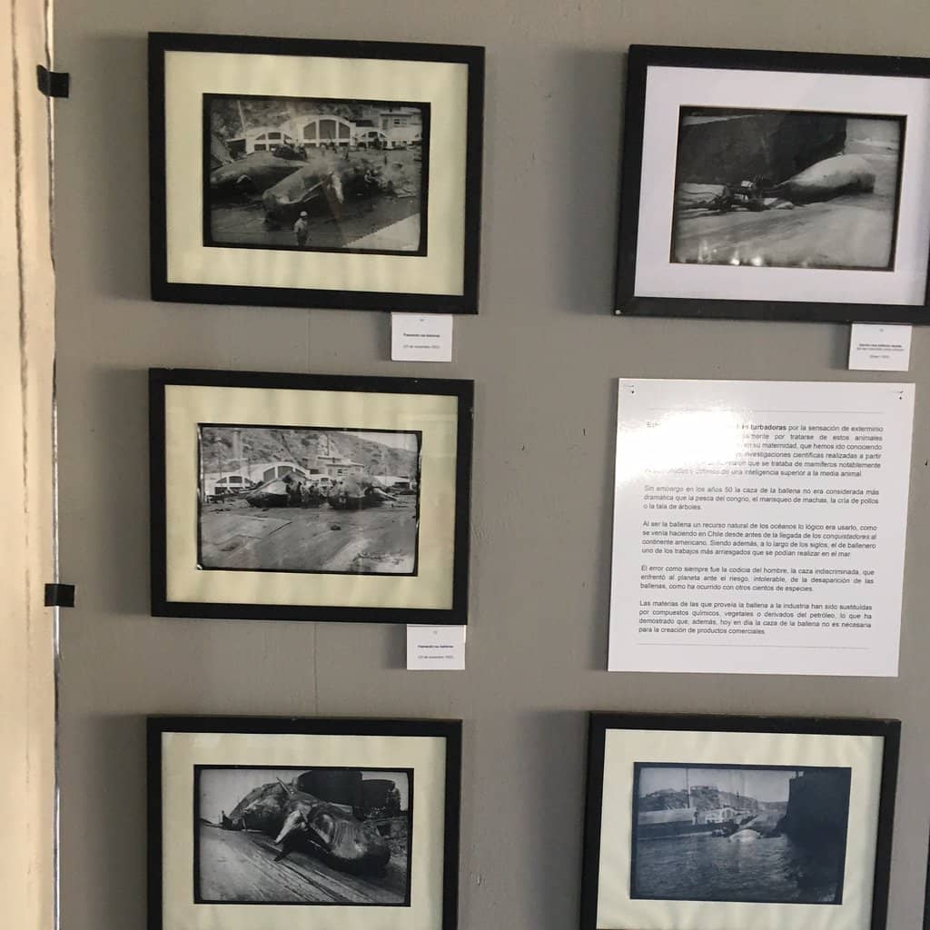 Ex Ballenera Museum