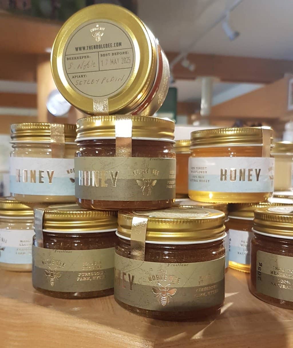 Forest History & Wildlife