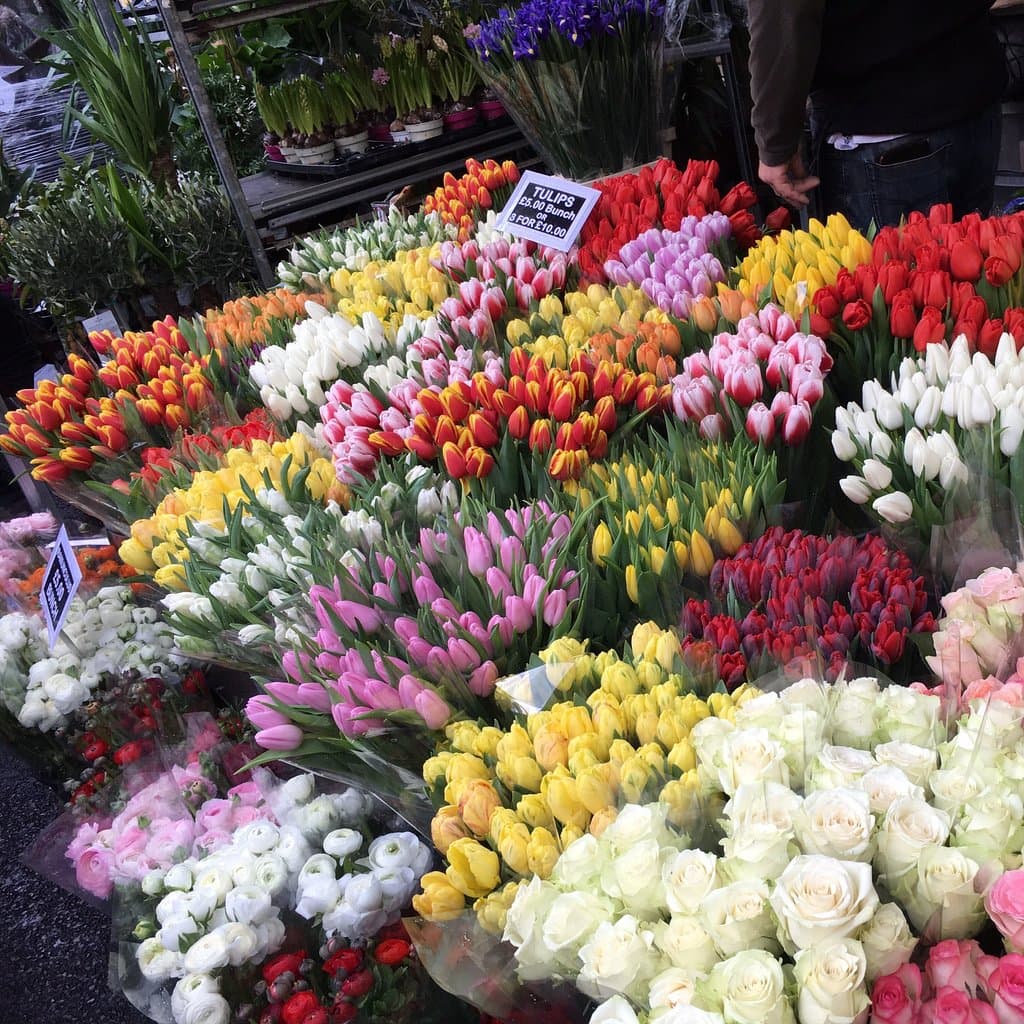 Columbia Road Flower Market London