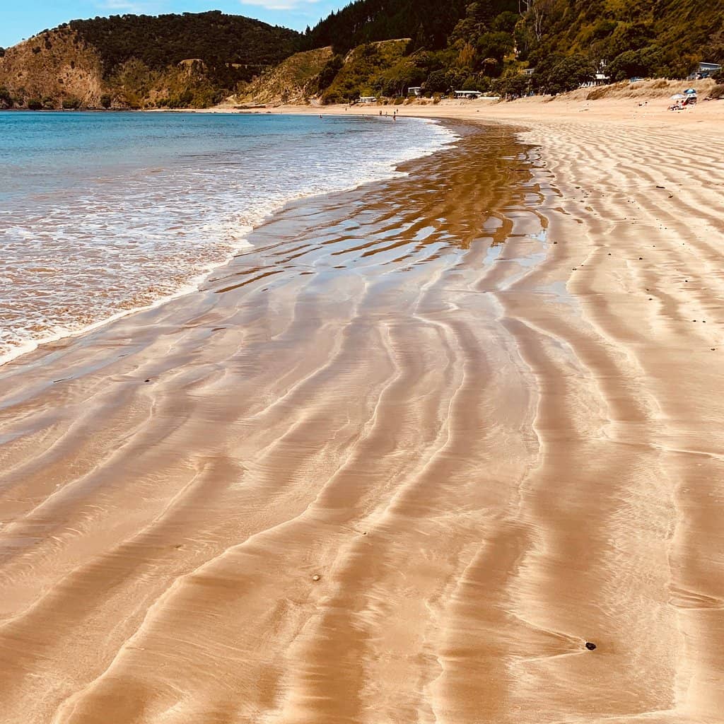 Marine Life Encounters