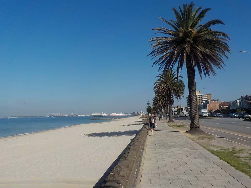 Foreshore Strolls