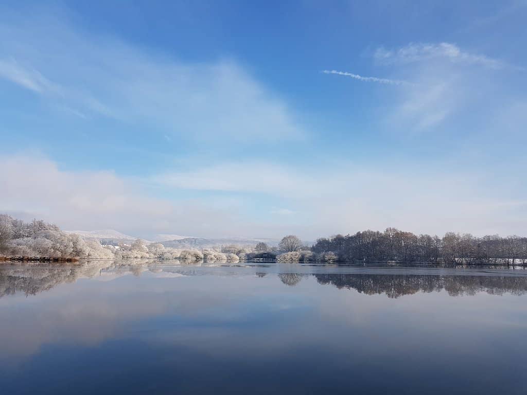 Family-Friendly Atmosphere