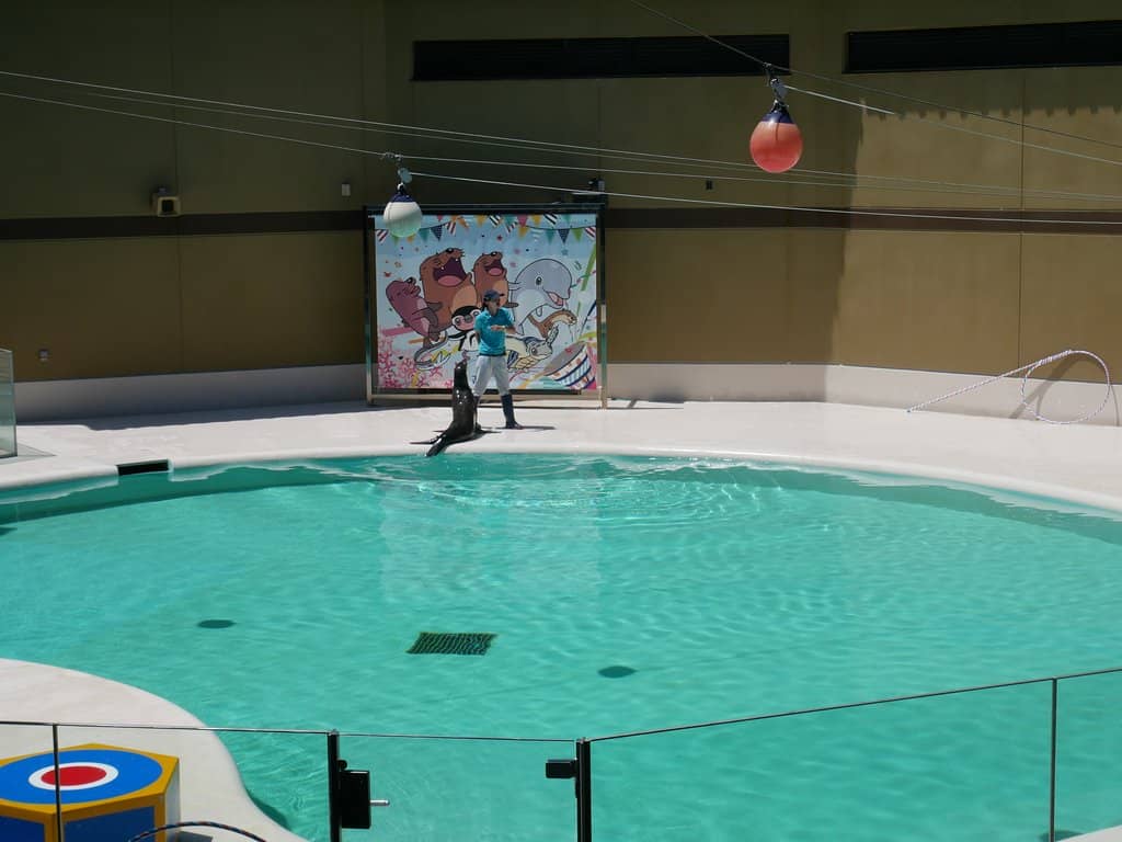 Third hero image