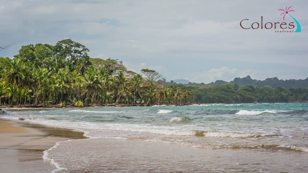 Manzanillo Beach