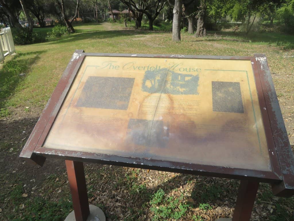 Pond with Ducks and Geese