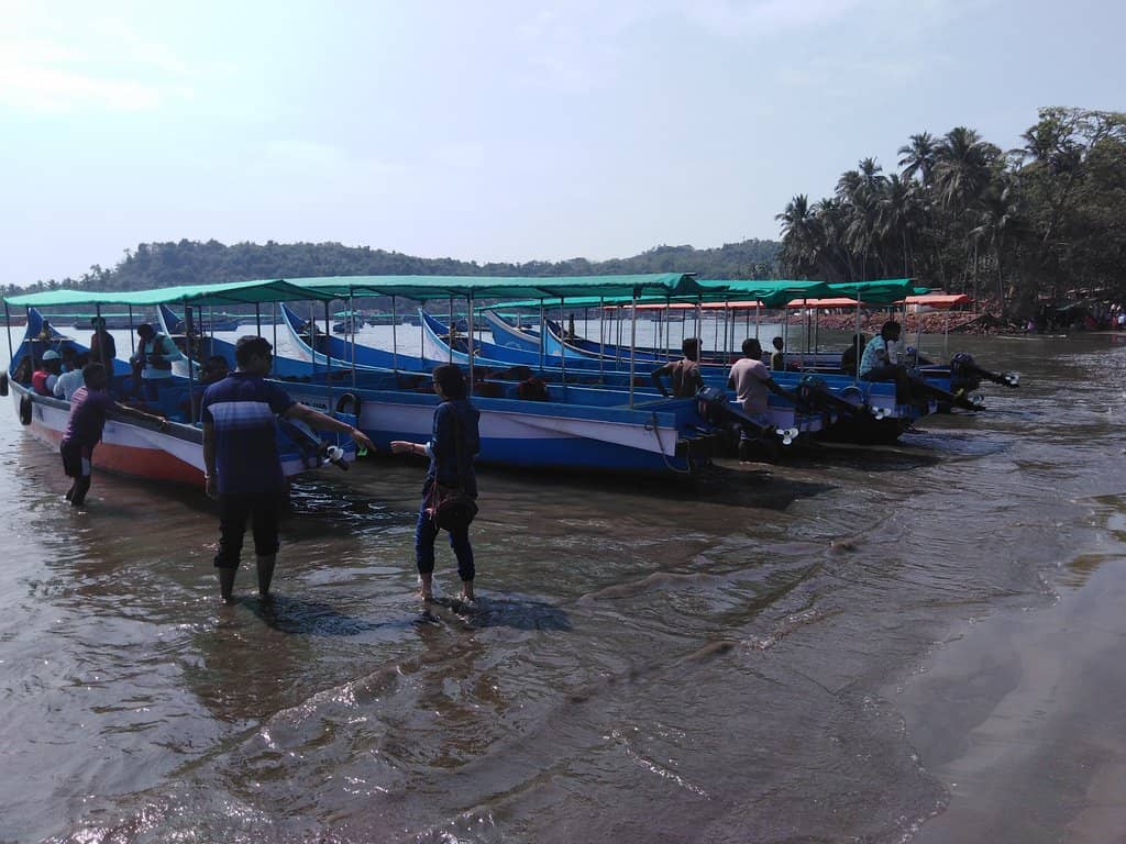 Dolphin Watching Boat Trips