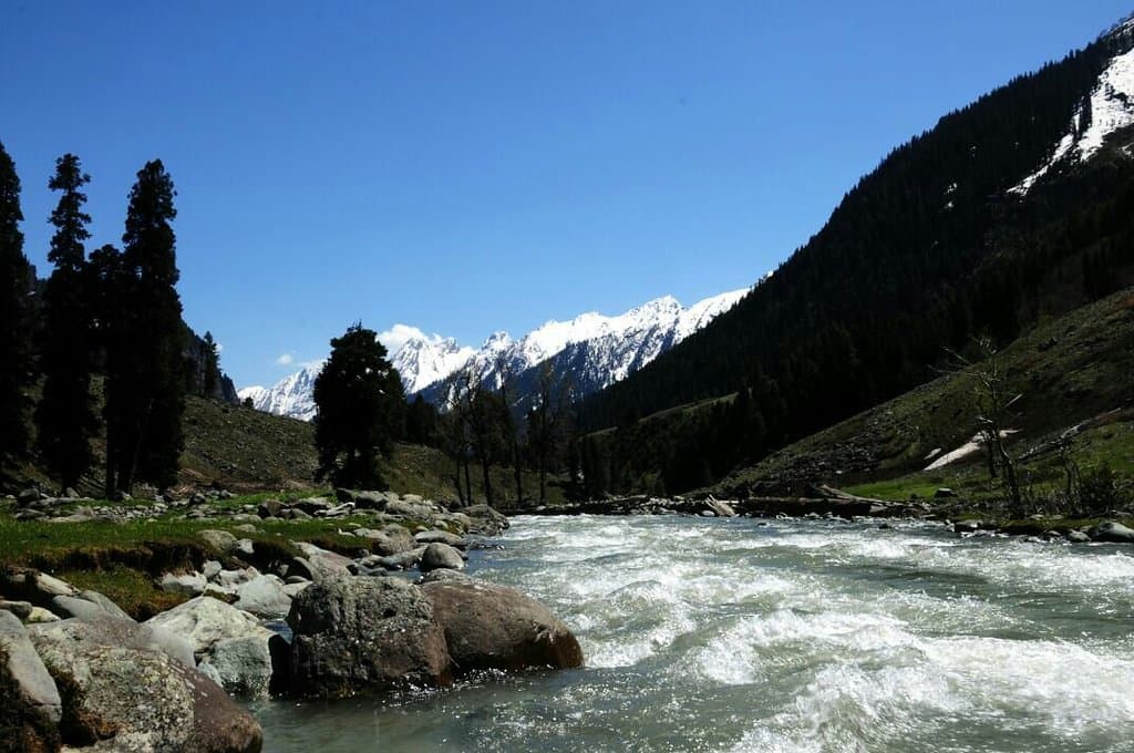 Trekking in Lidderwat Valley pahalgam