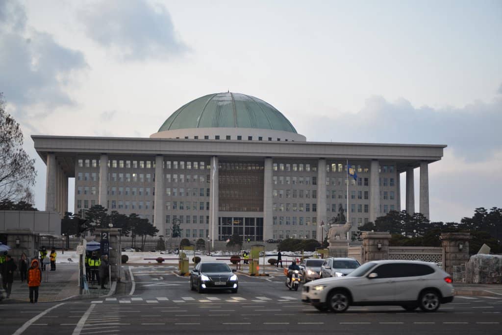 Cherry Blossom Spectacle