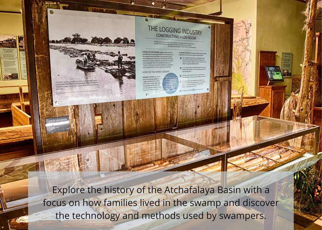 Atchafalaya Basin Display