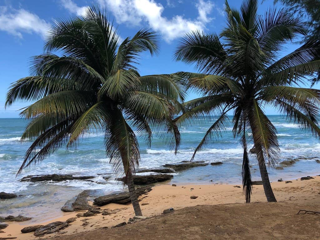 Kiosk Culinary Delights