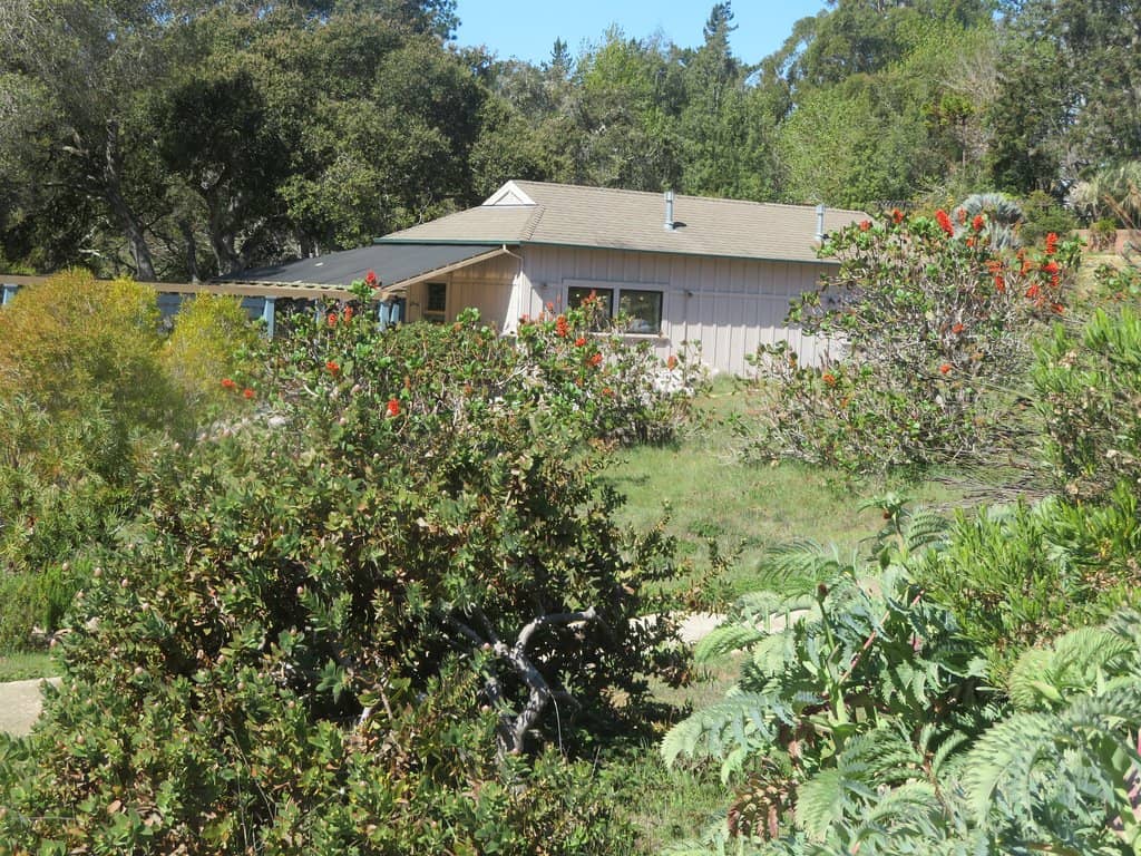 South African Garden