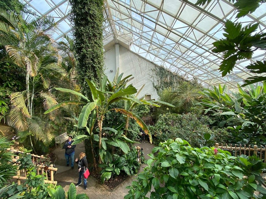 Foellinger-Freimann Botanical Conservatory