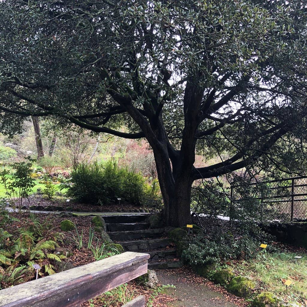 Peaceful Walking Trails