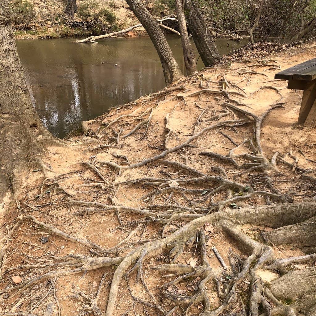 Eno River Views