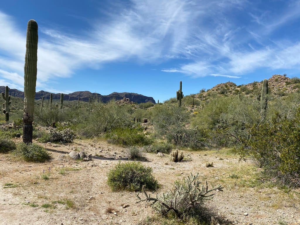 San Tan Mountain Regional Park