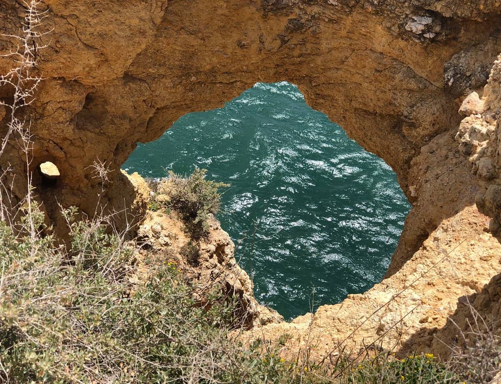 Vertical photo