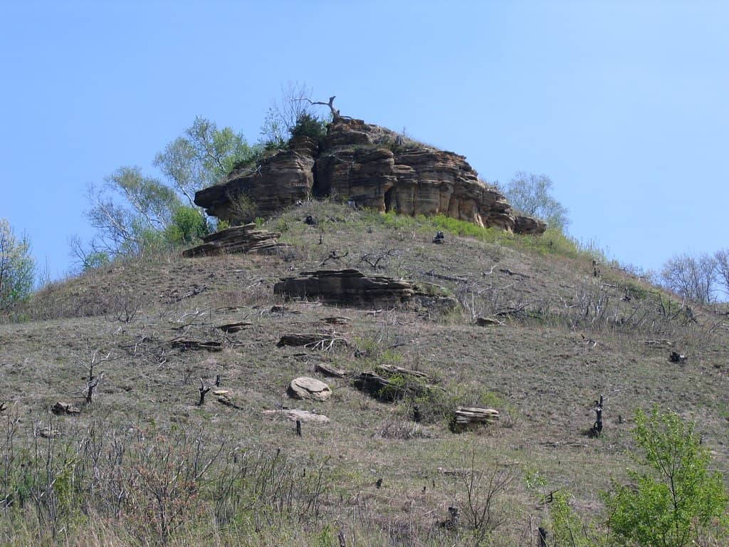Desert Prairie Ecosystem