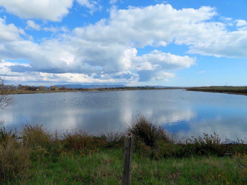 Sullo sfondo le costruzioni del Borgo delle Saline