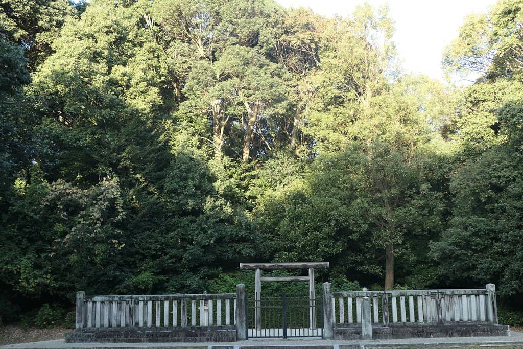 Autumn Foliage