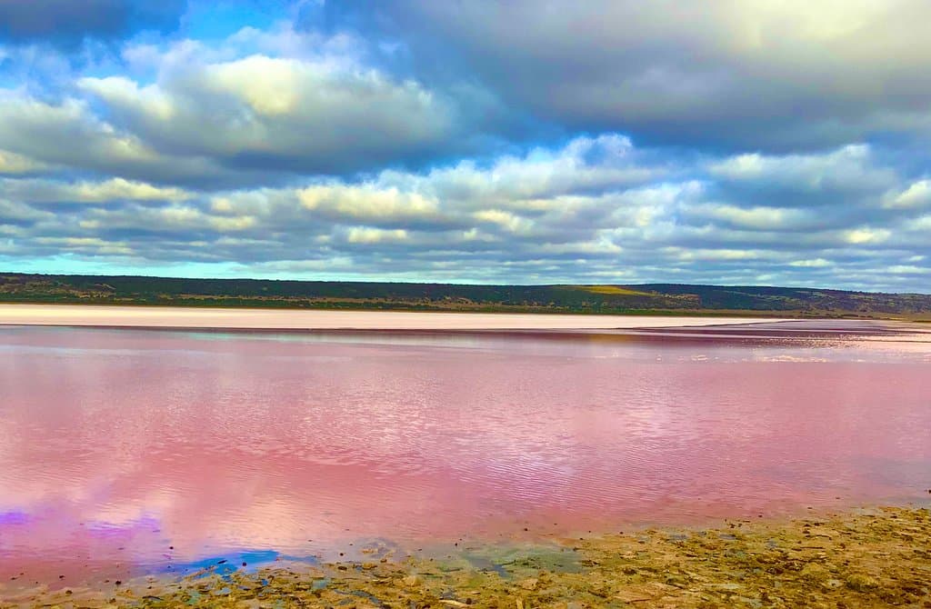 Hutt Lagoon Pink Lake