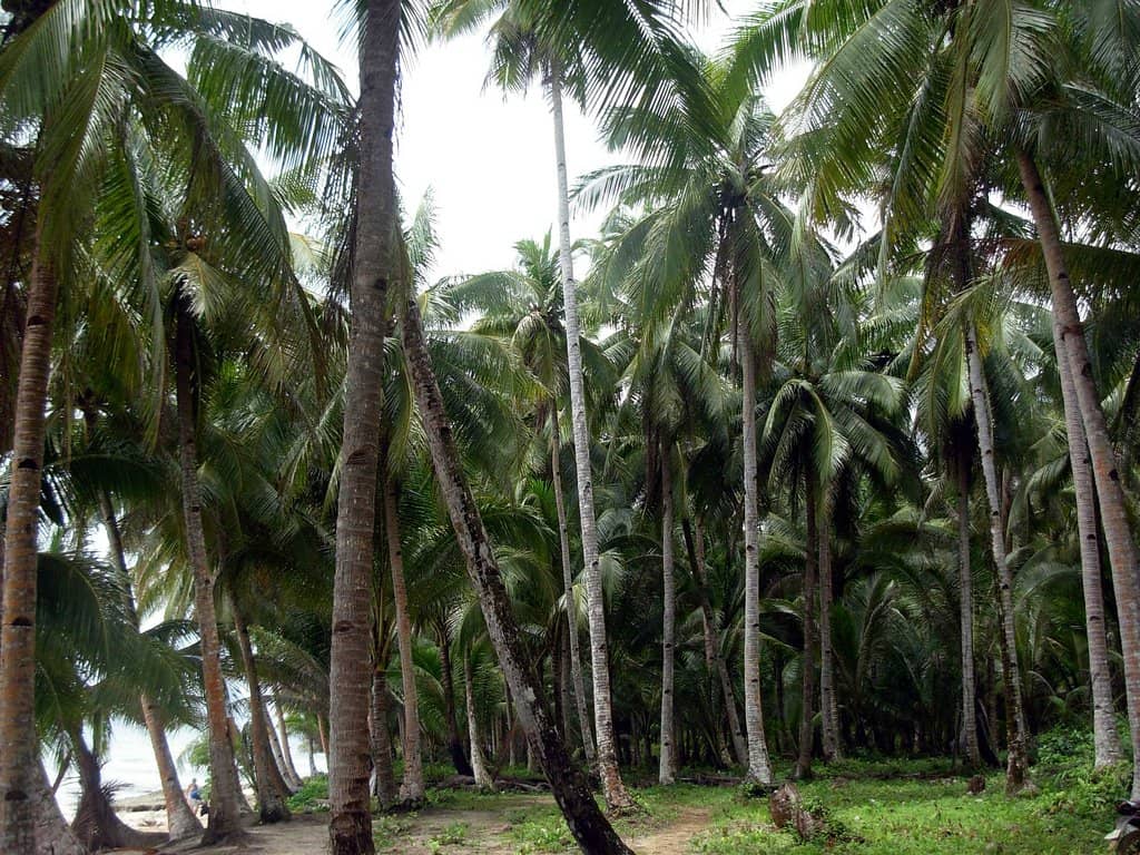 Calm Waters for Relaxation