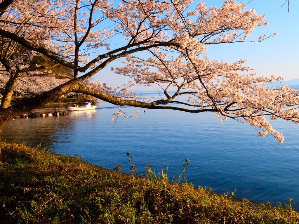 Kaizu Osaki