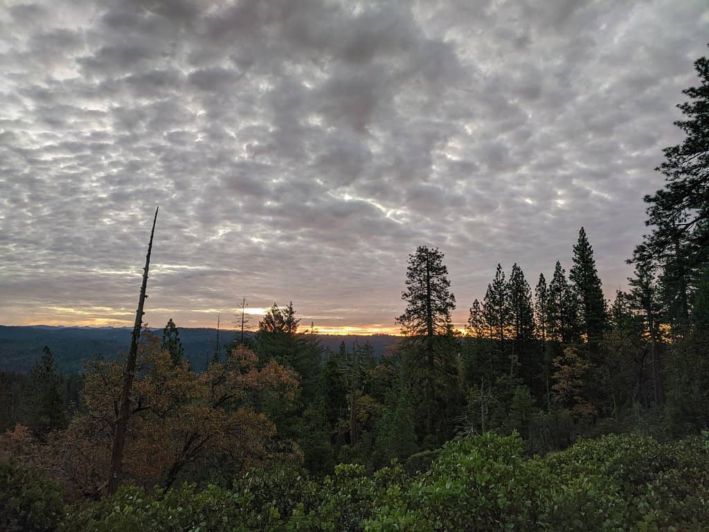 North Grove Trail