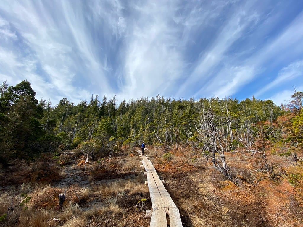 Canso Plane Crash Site
