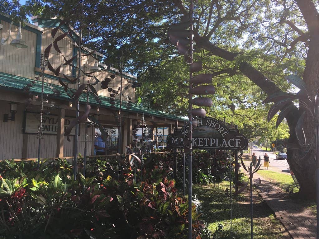 Featured Local Artists