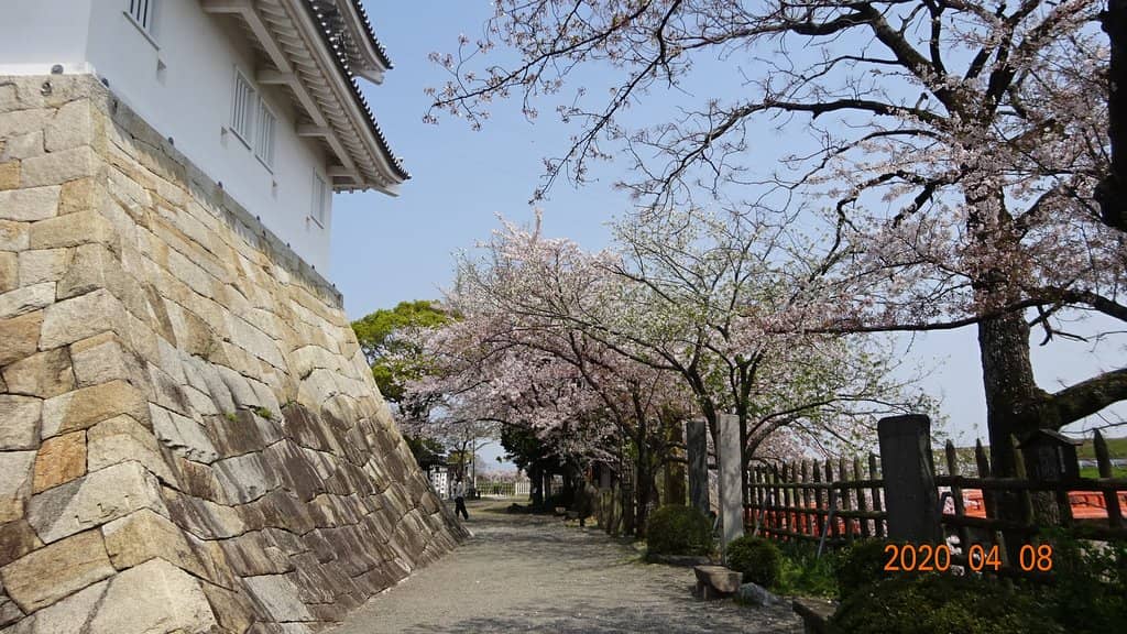 Reconstructed Castle Tower