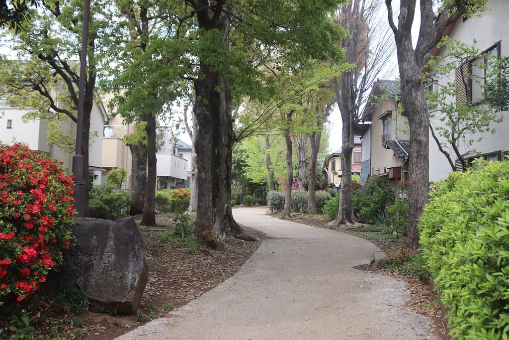 Musashino-no-mori Park