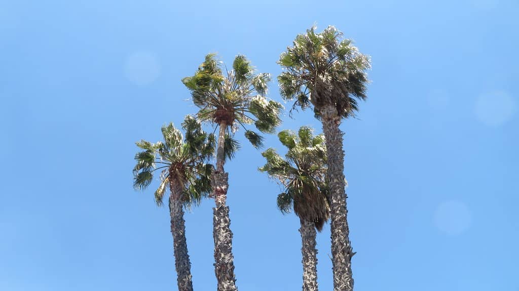 Historic Grounds & Gardens