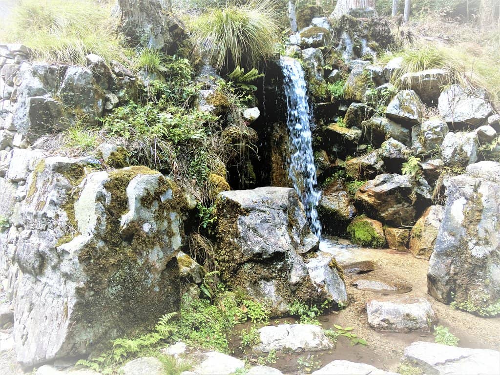 The Unique Triangular Torii Gate