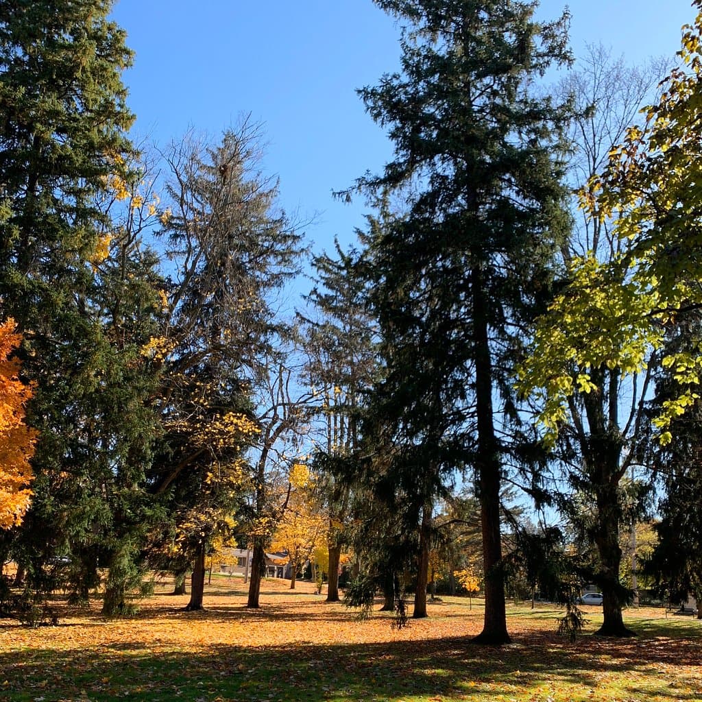 Exhibition Park