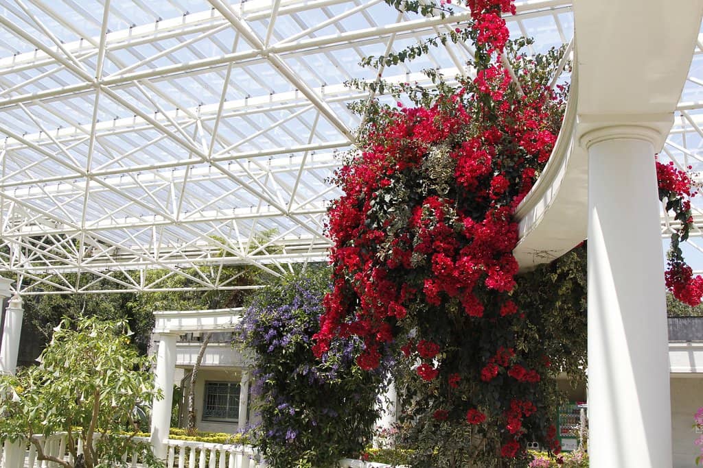 Tropical Greenhouse & Butterfly Garden