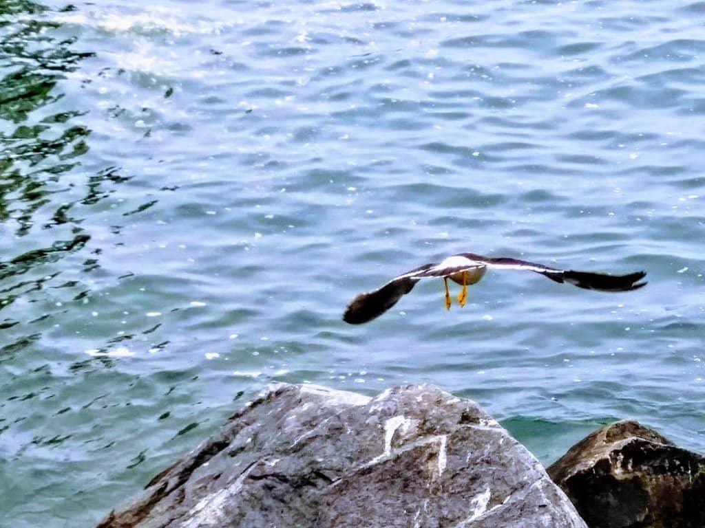 Peaceful and Private Atmosphere