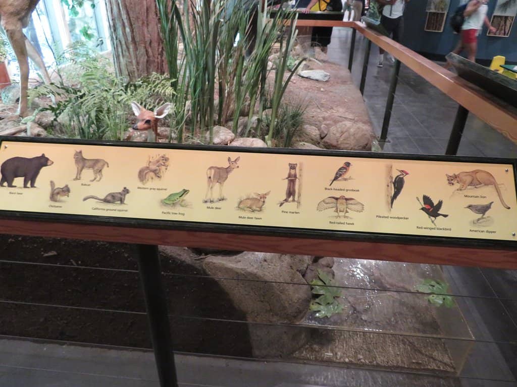 Art & Nature Center Exhibits