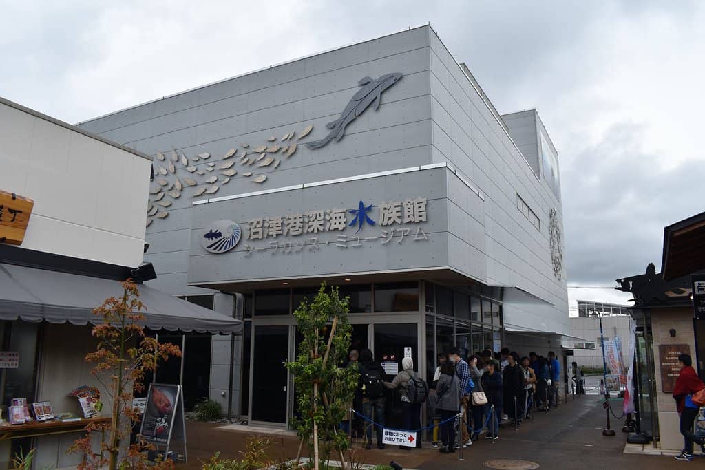 Bioluminescent Wonders