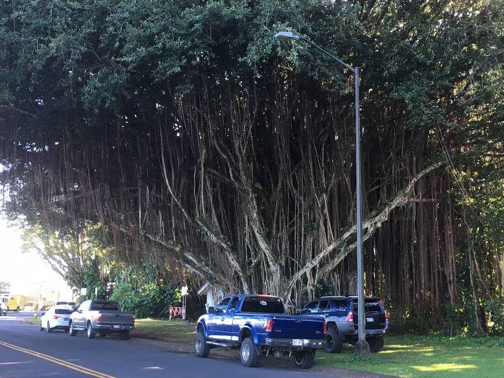 Historical Significance