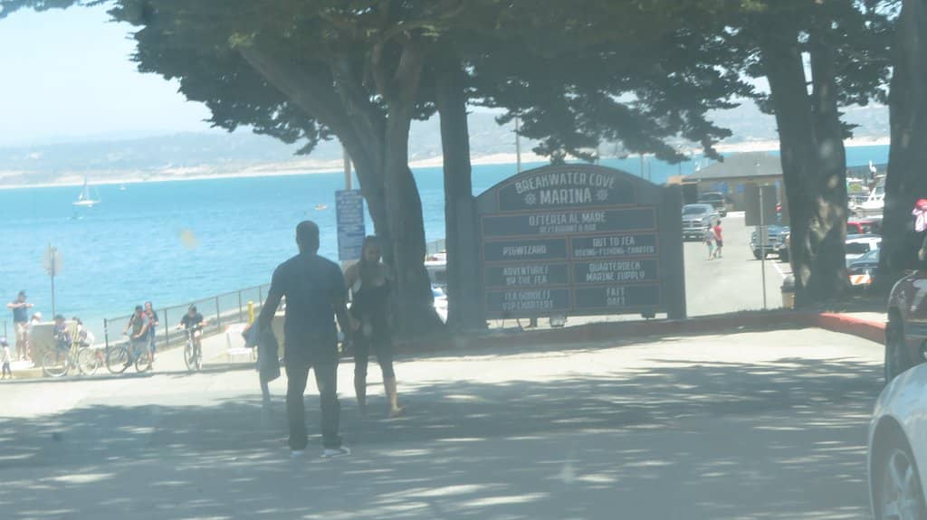 Kelp Forest Exploration