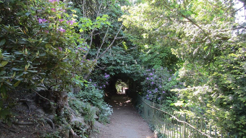 Vertical photo