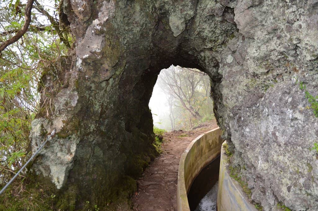 Cascading Waterfalls