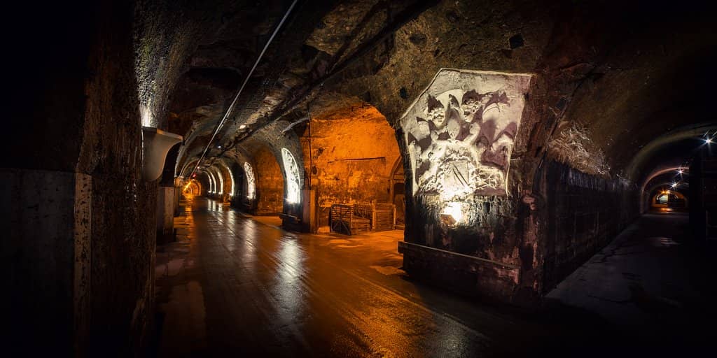The Underground Train Tour