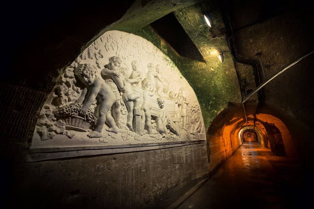 Champagne Tasting Experience