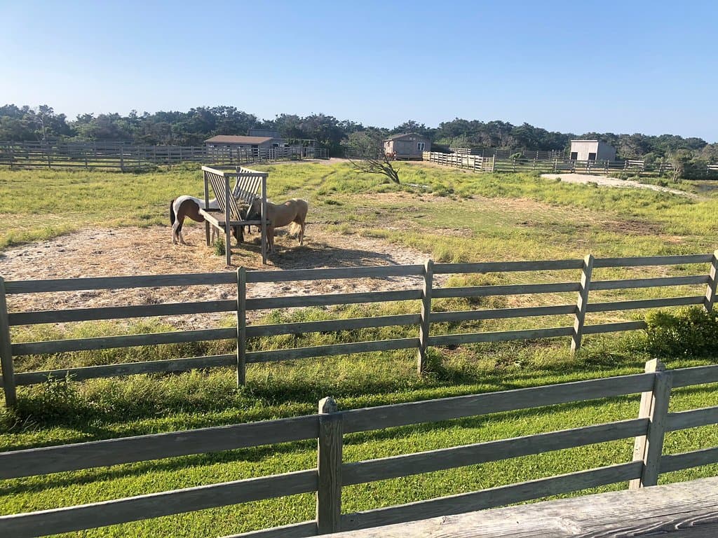 Ocracoke Pony Pens