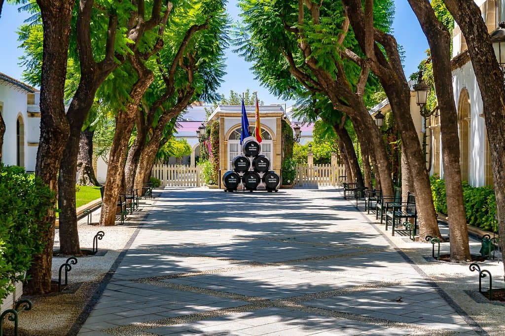 Patio de las Jacarandas. Entrada principal de Bodegas de Mora en el Puerto de Santa María.