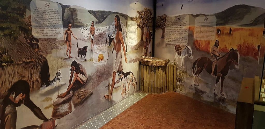 โชMan and the Living Museumโฌ